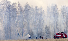 Пять очагов природных пожаров потушено за сутки на территории Подмосковья - МЧС