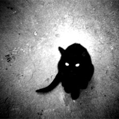 СЕГОДНЯШНЯЯ ПЯТНИЦА 13-Е ОПАСНА ВДВОЙНЕ