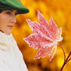 К ВЫХОДНЫМ В МОСКВЕ ПОВЕЕТ ЗИМОЙ