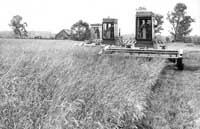 Стартовала зерновая страда