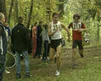 Лыжники на лесных тропах