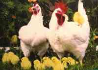 «Смена» смотрит в будущее