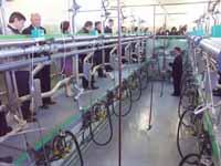 Общежитие для буренок