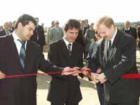 Общежитие для буренок