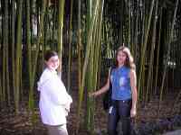 КРЫЛАТЫЙ И В БЕЙСБОЛКЕ